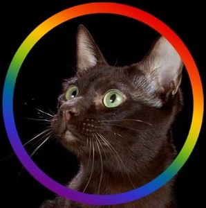 Meet your Posher, Leann